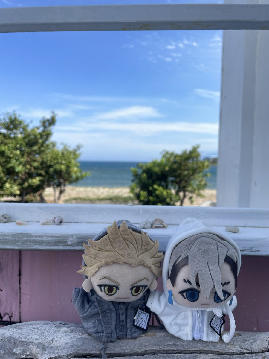 AimerKazusa's tweet photo. #enzn
somewhere nere the sea. https://t.co/1wTaVsk84Y