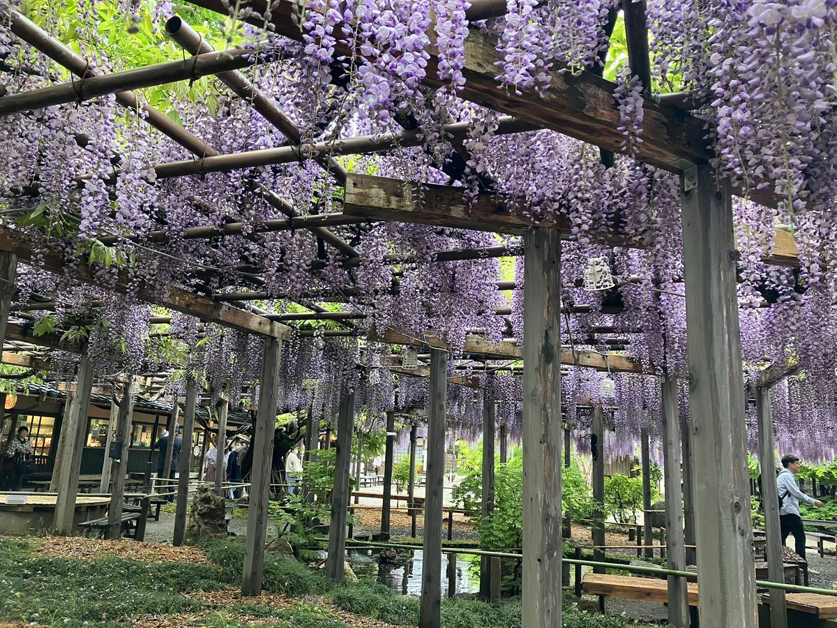 豪農の館 北方文化博物館 tweet media