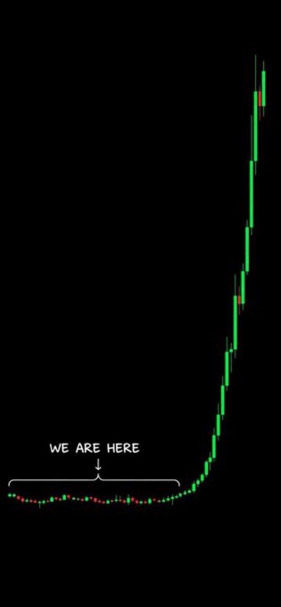 This is where $maxxing is 

New ATH just a matter of time