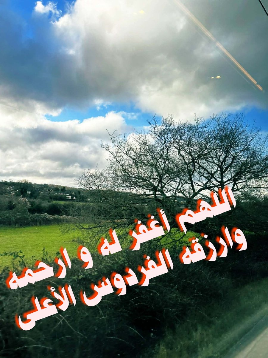 🇦🇹sayed awad🇦🇹 tweet media