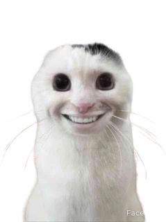 ale 𝜗𝜚 tweet media