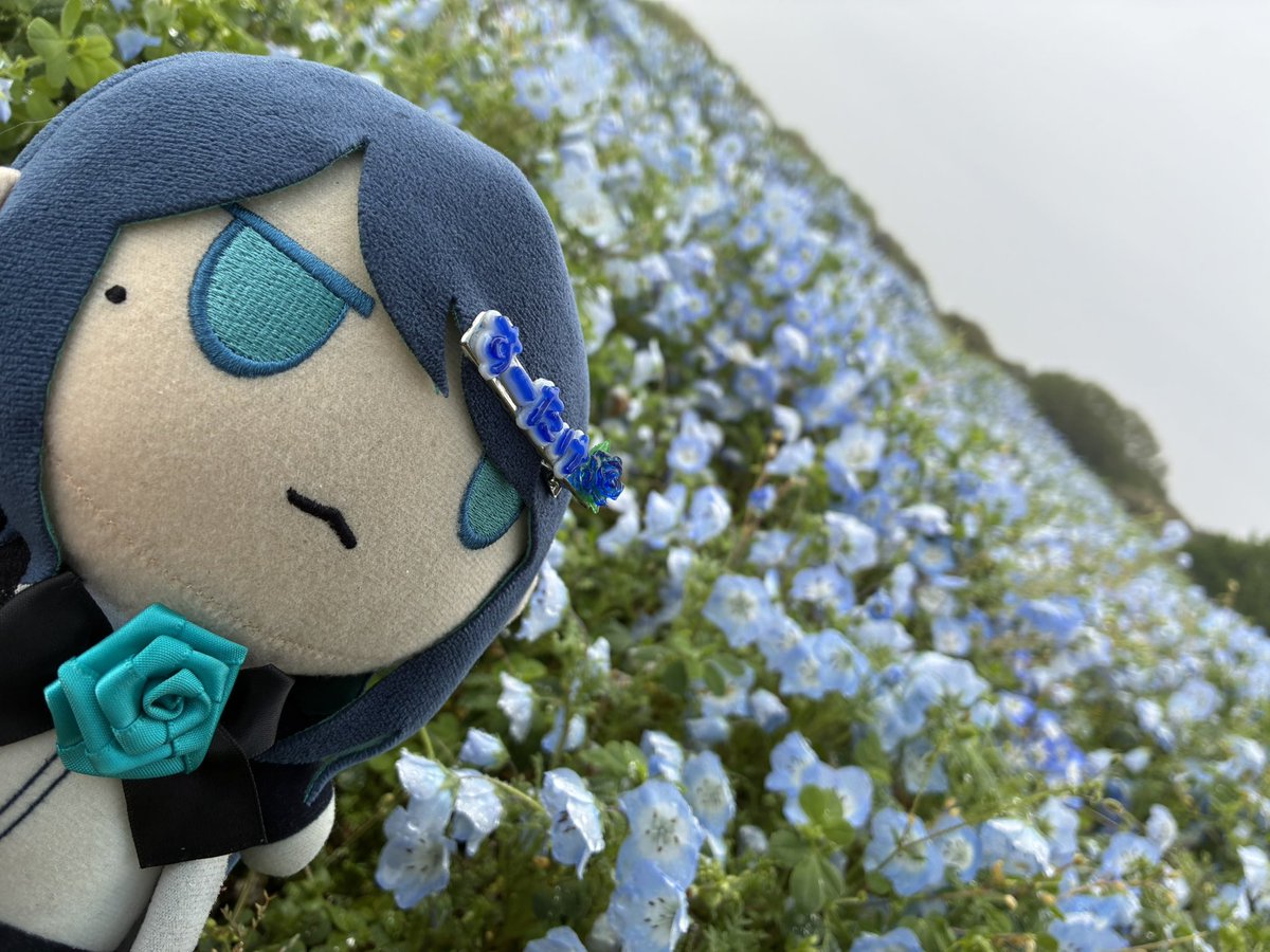 💎すーたけ‎🐺💤‎ tweet media