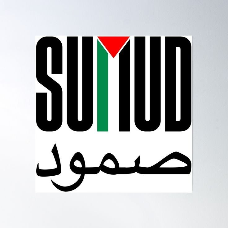 Farah🇵🇸🇾🇪 tweet media