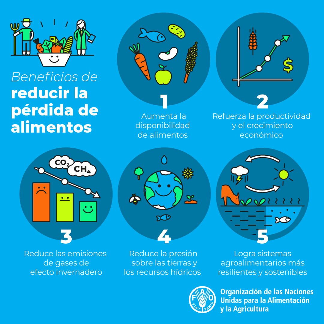 FAO Américas tweet media