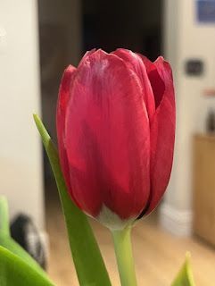 LydiaCLee's tweet image. Mother's Day - not for everyone buff.ly/rBPRxG5  #Estrangement #Grief
