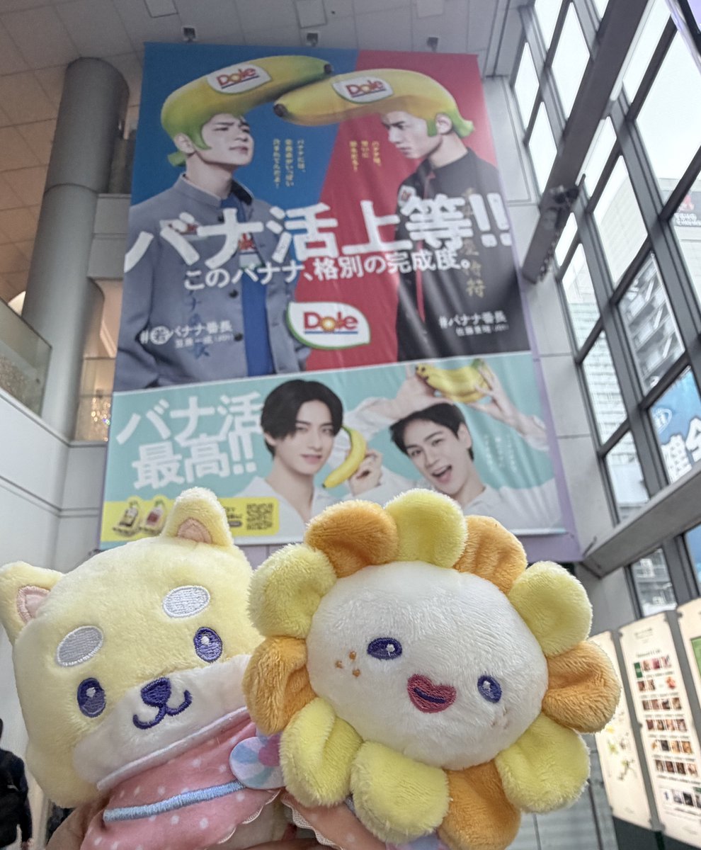 ふな.co tweet media