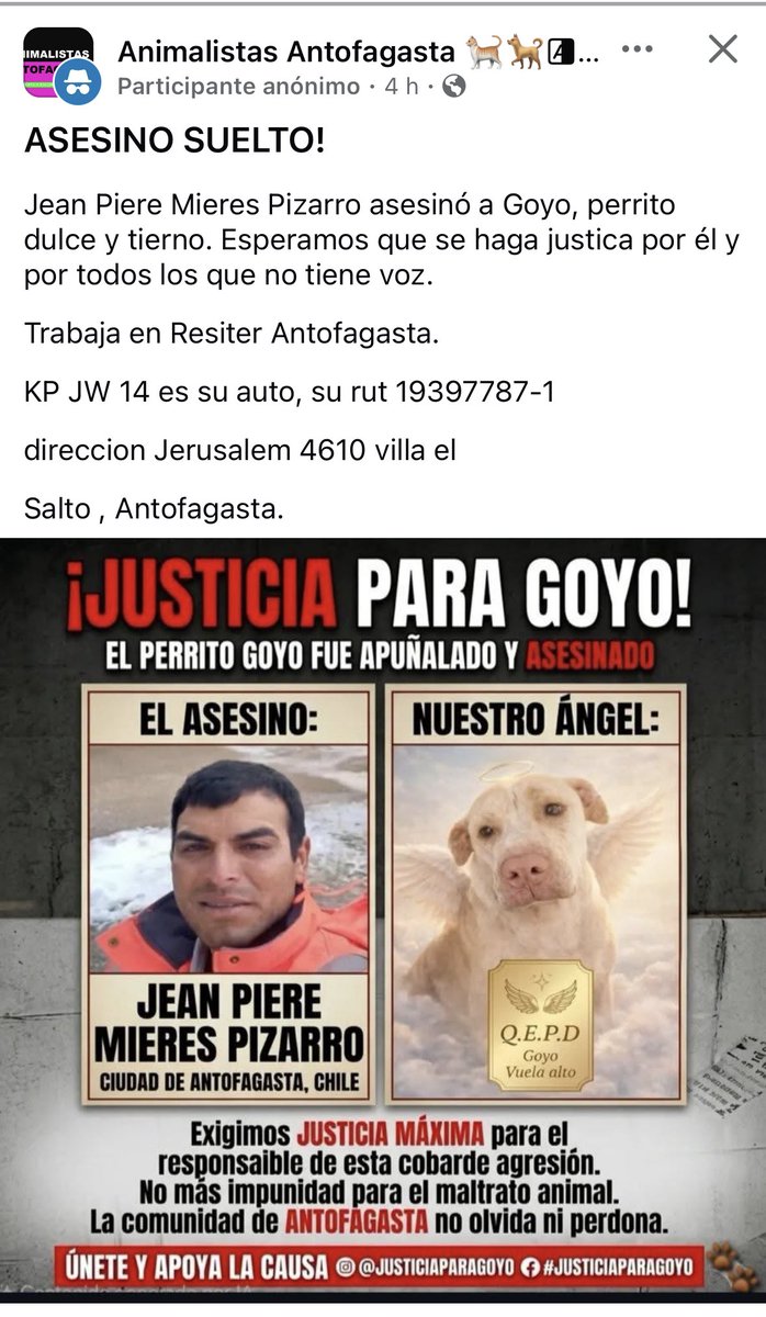Jordi tweet media