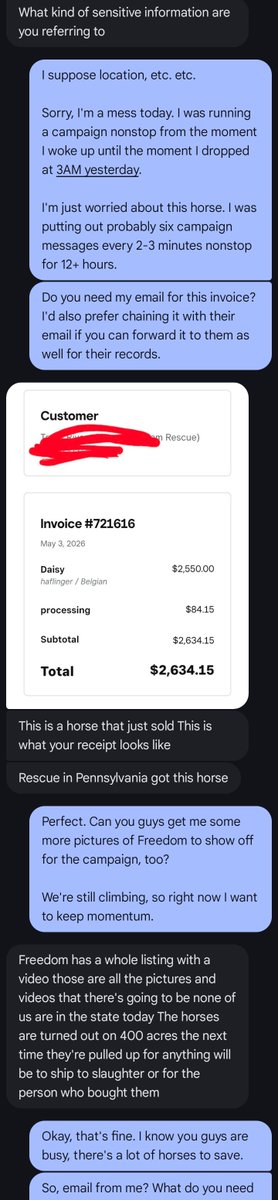 NovitasResale's tweet photo. Thank you everyone! Freedom was, thankfully, purchased by another buyer during our campaign.  

Though the kill pen still exists, which I greatly oppose, I don't think I can morally support this fundraiser after some revelations about the owners of Fountain Hill Horse Company.

I would recommend donating to https://t.co/OxovMPCM1Z
. They wrote several excellent articles on the abusive situation that some of these horses are in.

Please, if you believe in saving equine life, please refund the donations committed and send them there. I'm going to leave the account untouched for the next few weeks and await everyone's requests.

#SaveFreedom