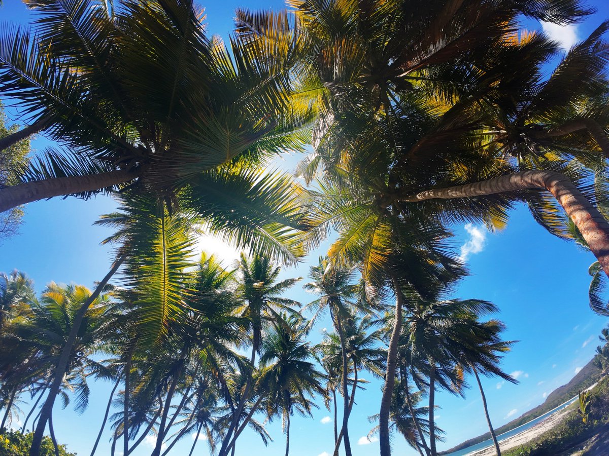 maffre431743's tweet image. Fin du week-end pour moi ,belle semaine à vous et courage si la météo ne pas clémente avec vous 🙏🏝🌴🌞
Bises 😘#martinique #lifestyle # paradis 😘🌞🌴🏝