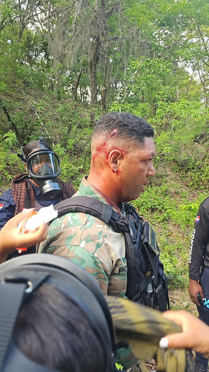Elías Báez🇩🇴 tweet media