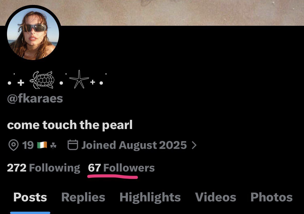 . ݁₊ 𓆉 . ݁𓇼˖ . ݁ tweet media