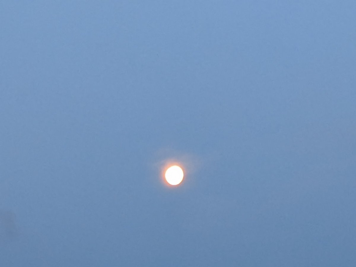 おはようございます。
今日の出勤時にお月さまが綺麗だったので思わずパチリ。午前5時の倉敷の空でした。
