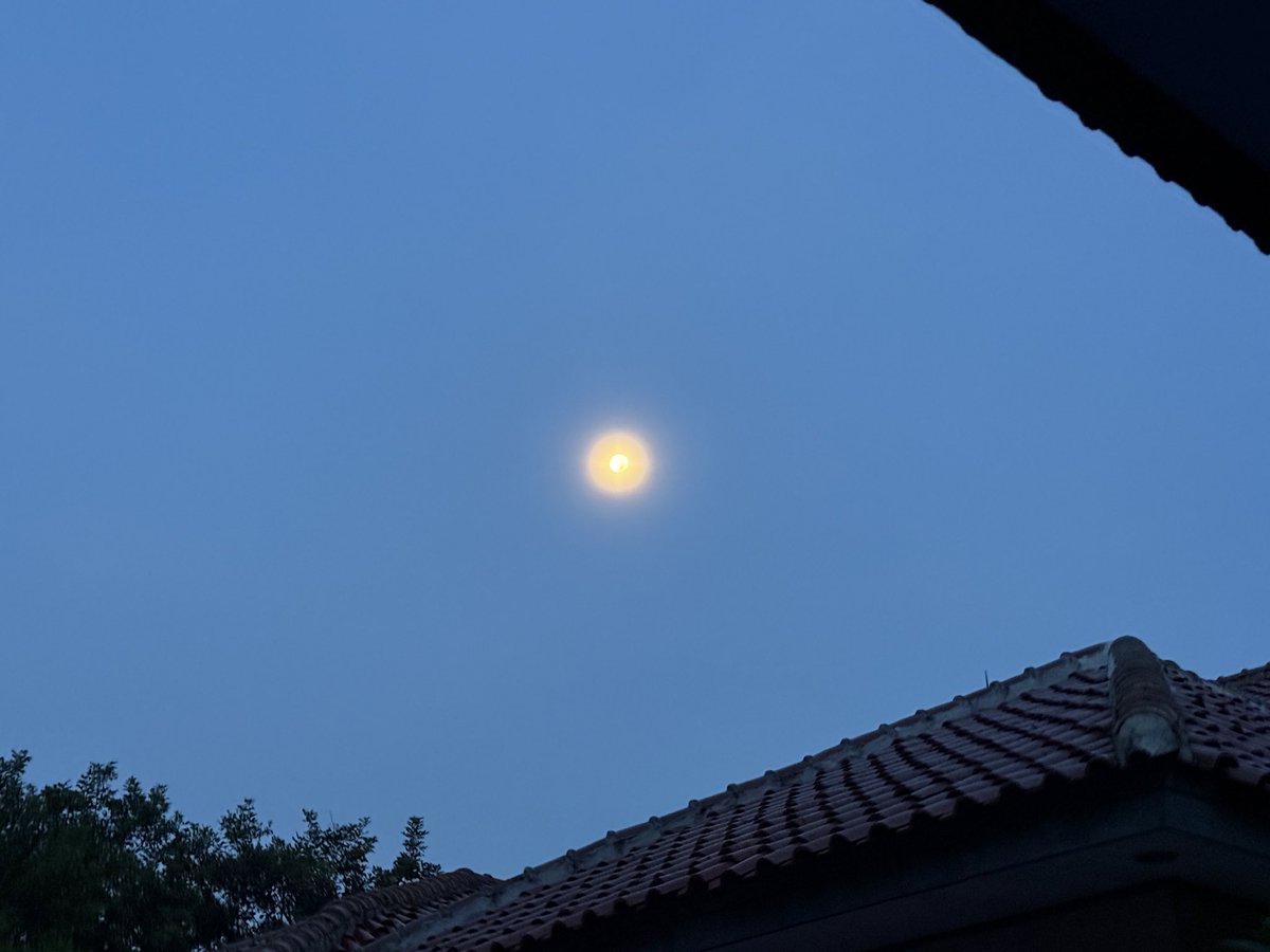 iwanfals's tweet photo. Bulan Pagi Ini 😊 https://t.co/vgnosKDqPo