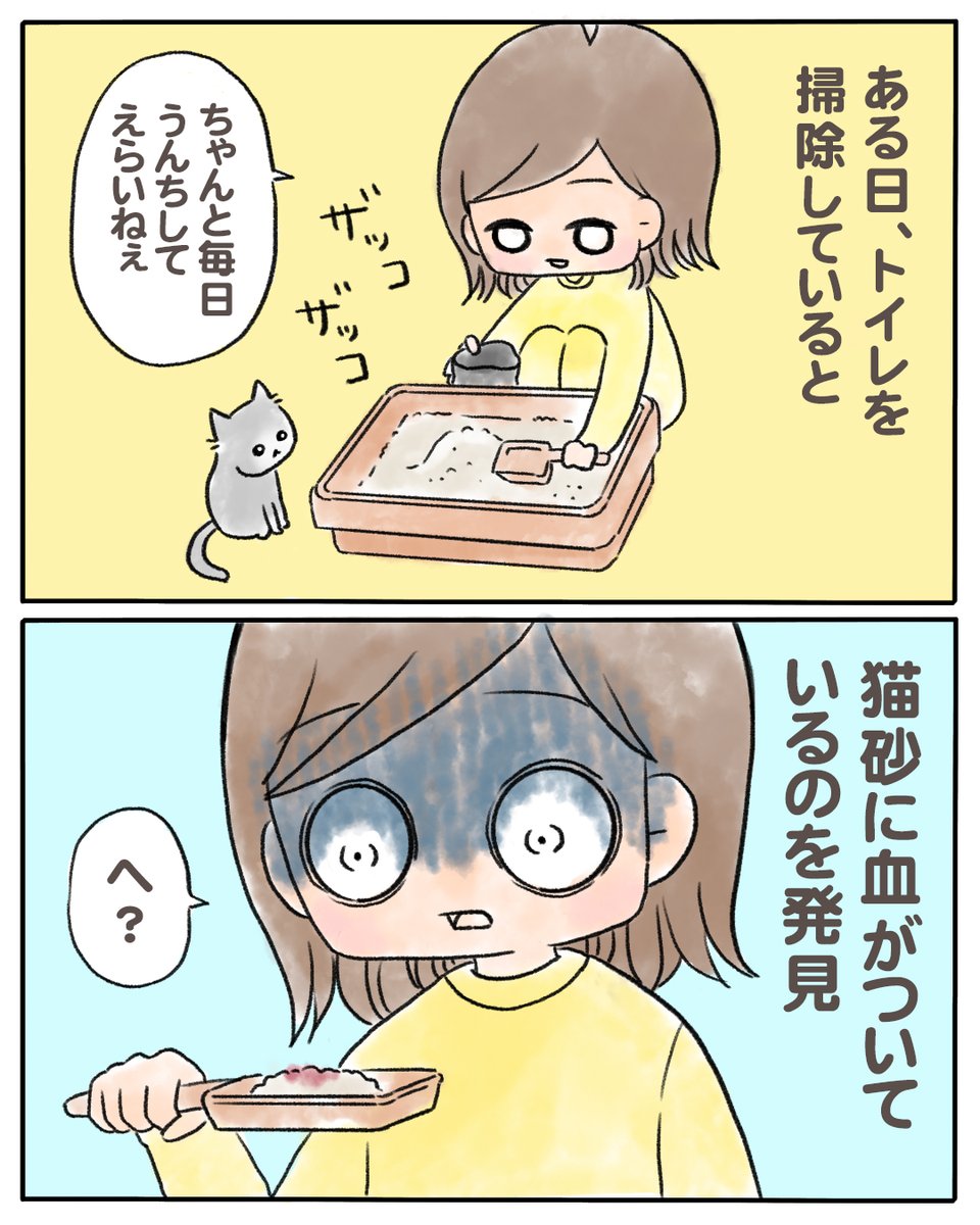 猫の少食、お尻からの出血、唇の腫れ、あごにきび…
原因はいったい…?

↓こちらからつづきが読めます 