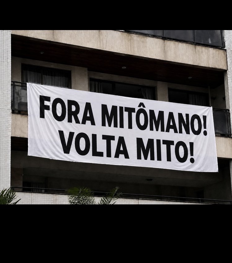 Carla Belintani 🇧🇷 tweet media
