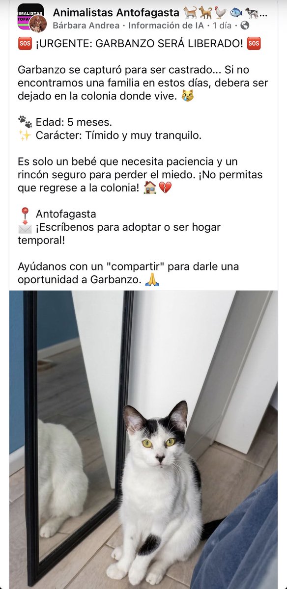 Jordi tweet media