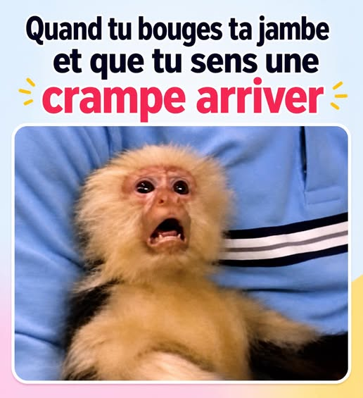 eryleck tweet media