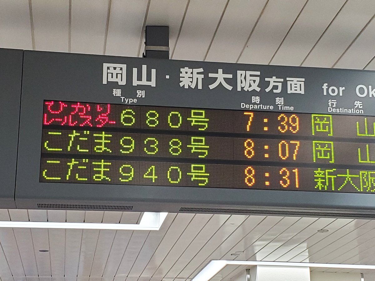 たぬこう👼 tweet media