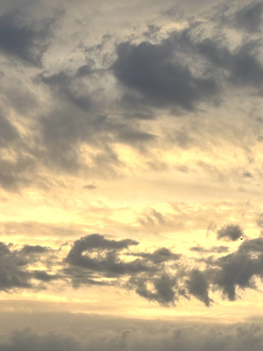 jonimarielew's tweet image. #sunset #clouds #Nevada #skies