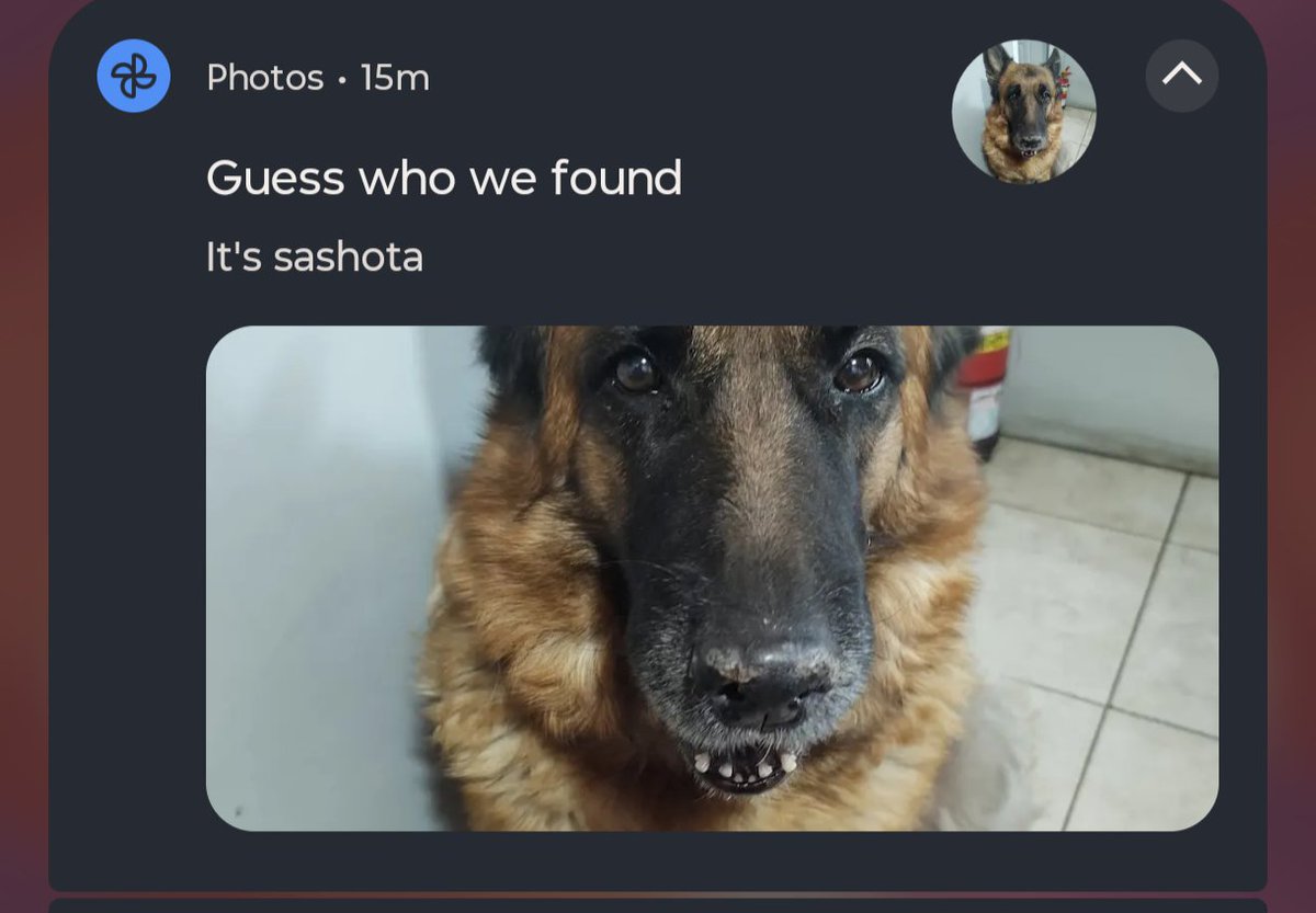 vera ⚢ tweet media