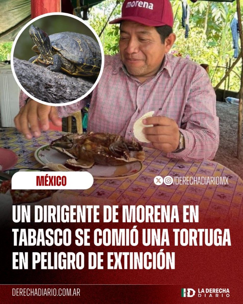 Dr. Corazón tweet media