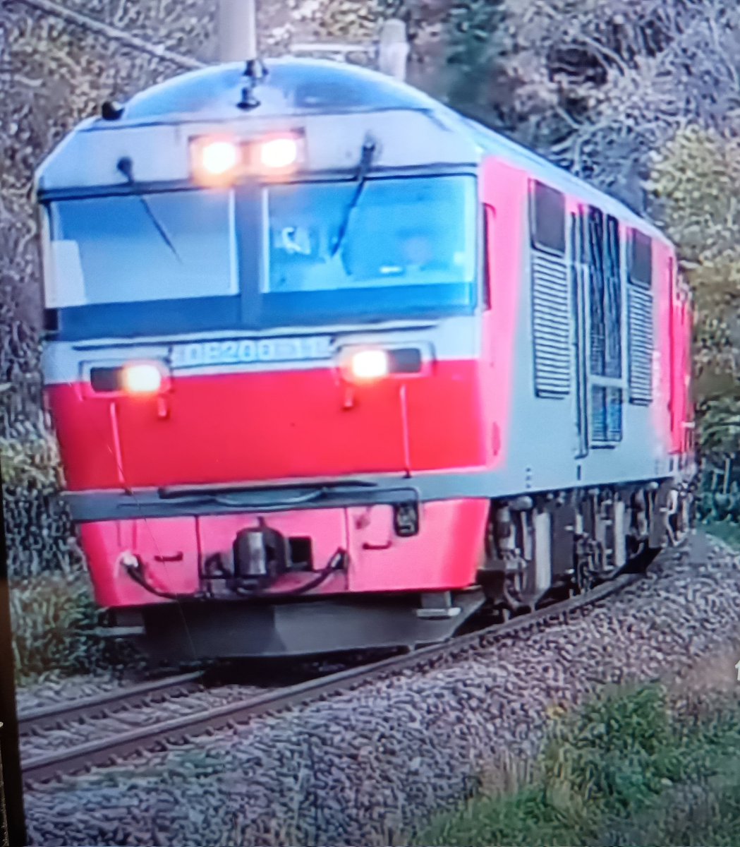 さくら tweet media