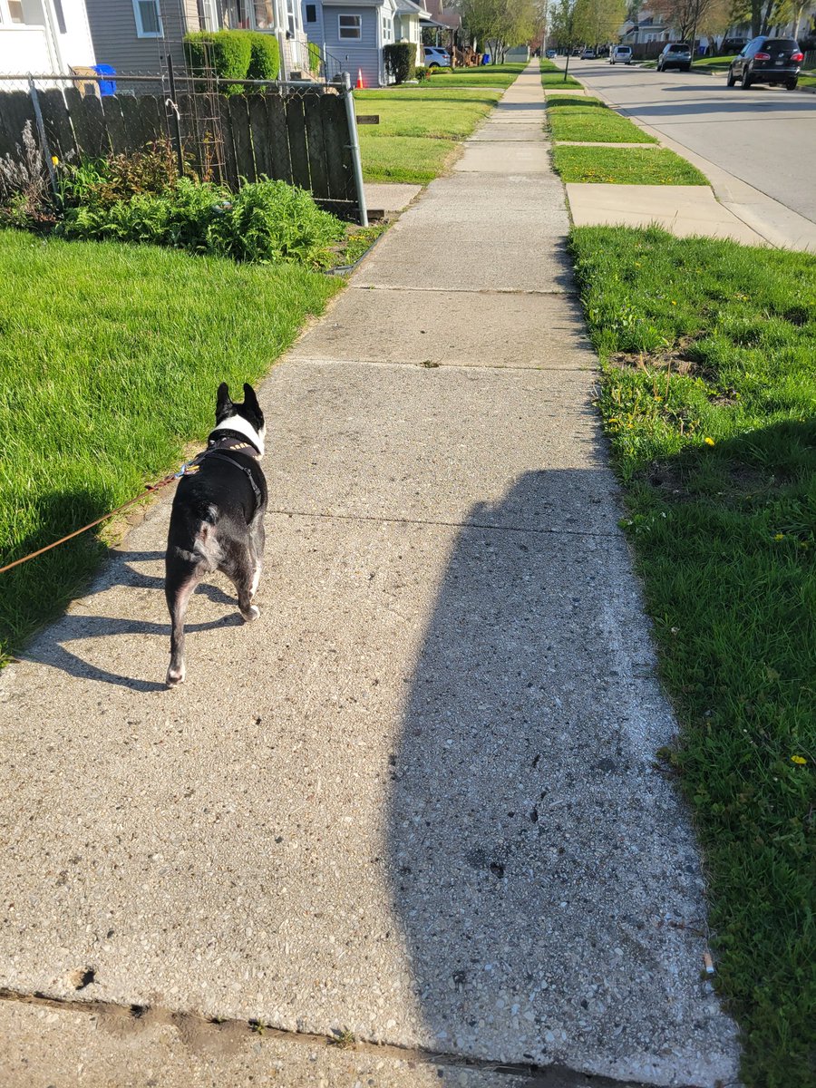 Zandermanderth1's tweet image. It turned into such a beautiful day!! Out for some pee mails time we go! Hopes yous all had a great day! 🤗
#SundayFunday