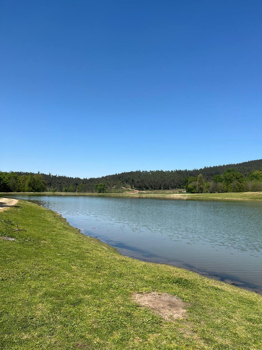 صبا tweet media