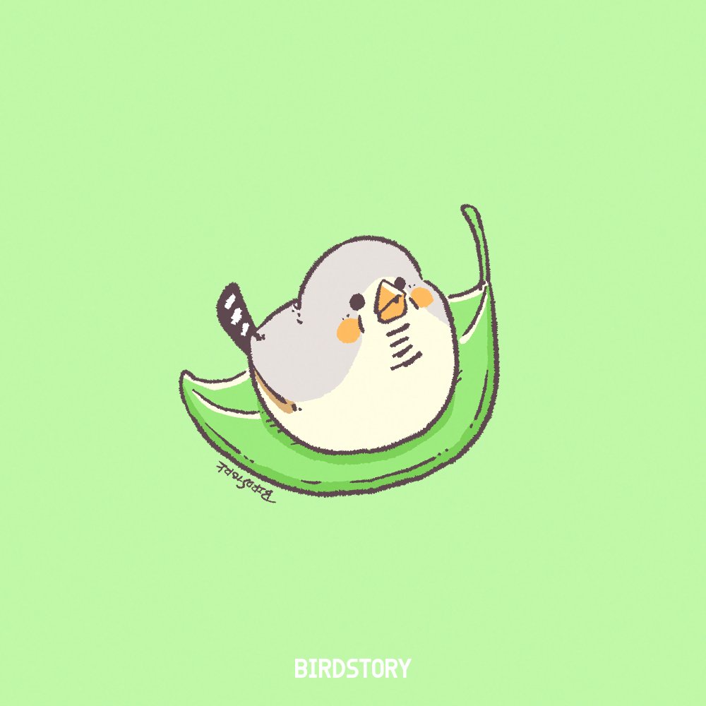 BIRDSTORY tweet media