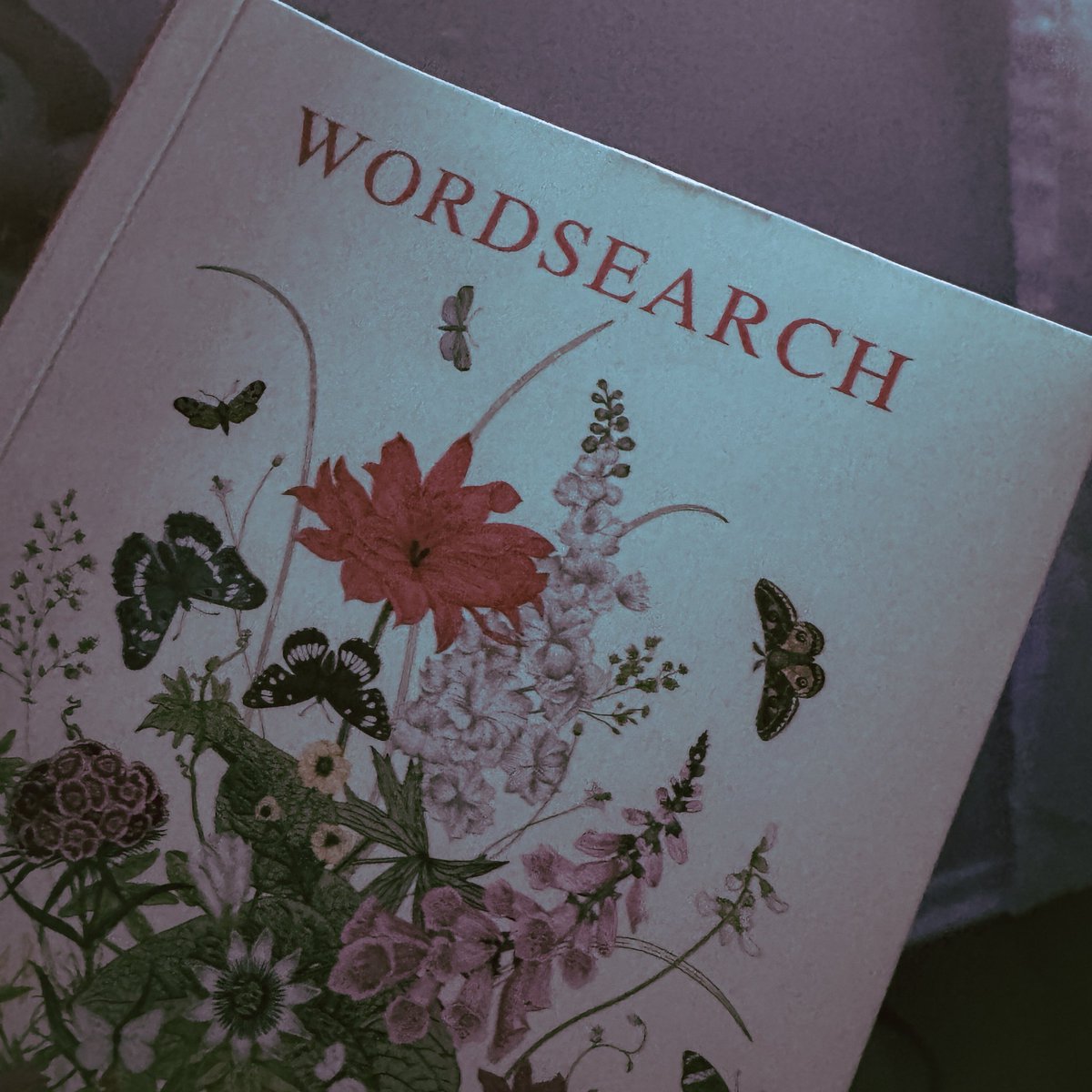 ₊˚🌿💀 𝓔𝓿𝓪 ⋆☾˚⟡˖ tweet media