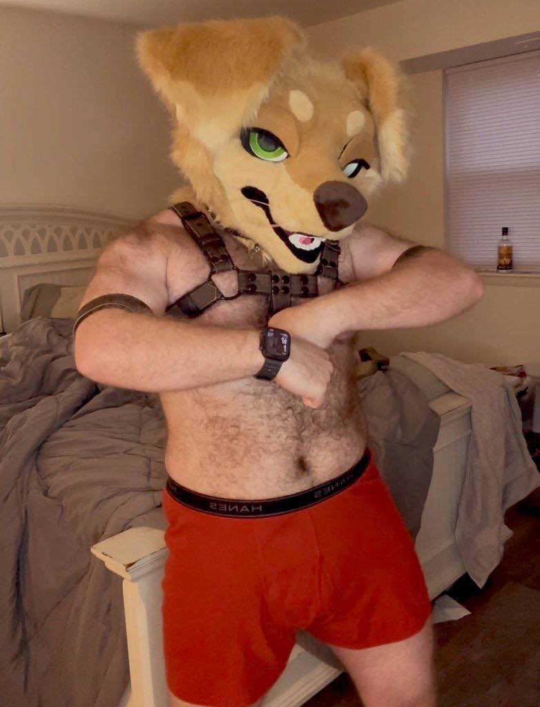 Sample The Dog 🔜 AC tweet media