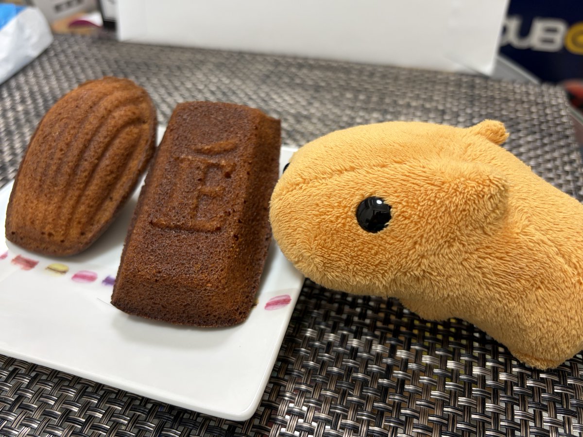 カピバラさん カピバラさん