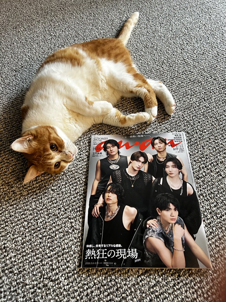 うめぼしねこ tweet media