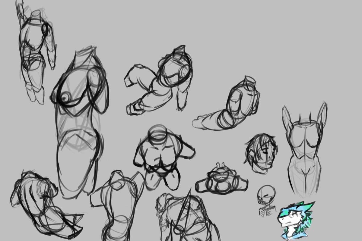 SpookySnooky's tweet photo. Torso sketch 😼 https://t.co/wCUcpxV1gW
