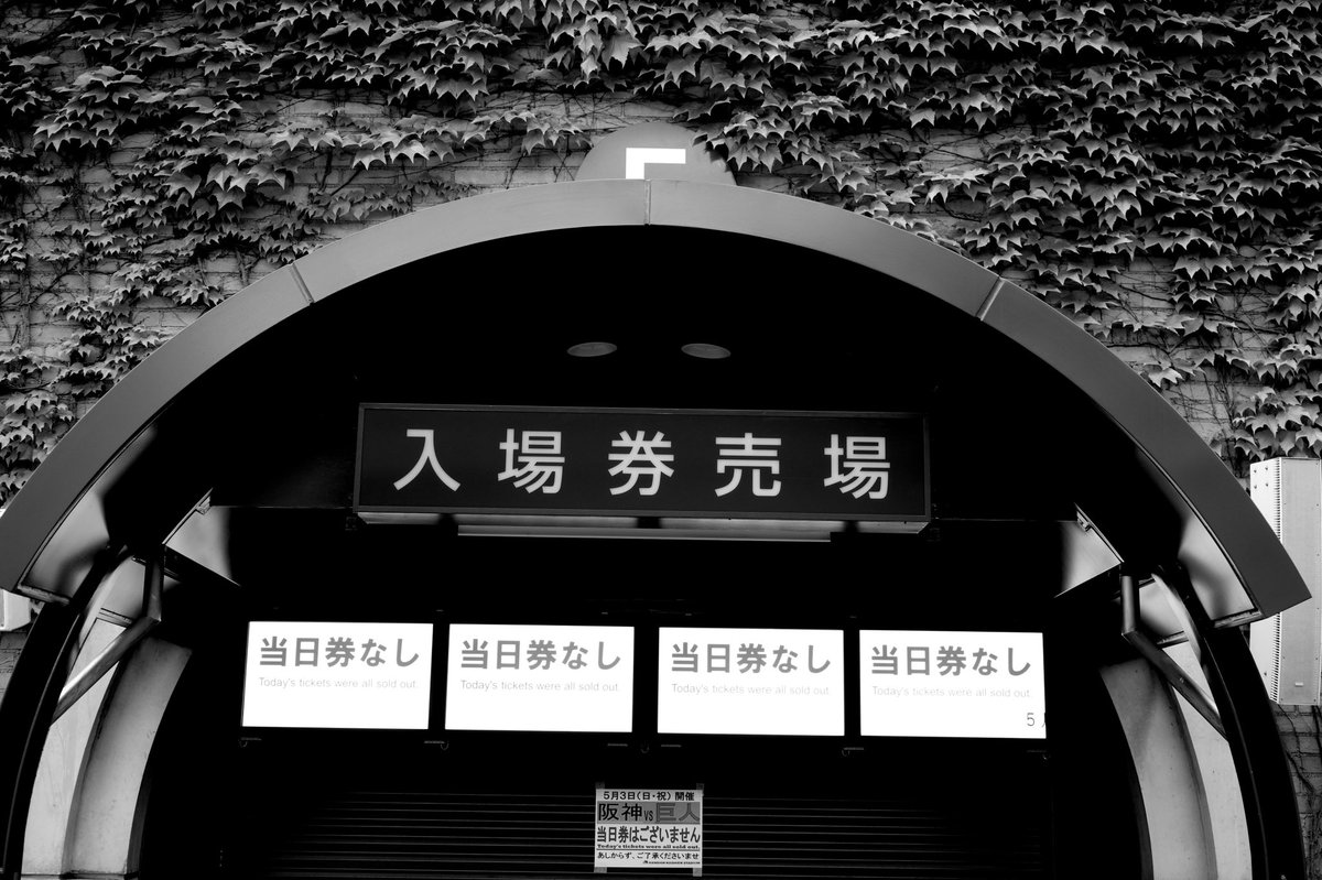 ytworks7's tweet image. Same-day tickets for Koshien are sold out.
#monochrome #blackandwhite #bnw
#streetsnap #photography #koshien
#ILCE7M4 #SONY #αSeries