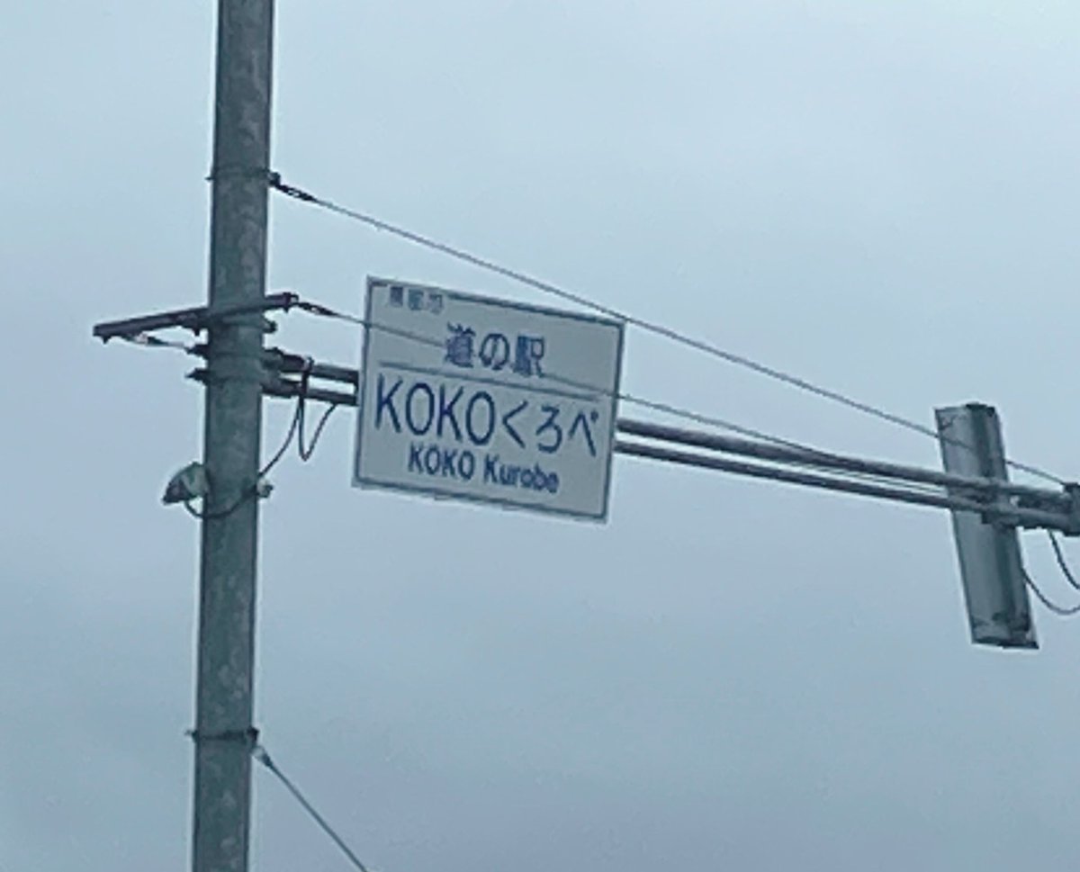 コットン🐰 tweet media