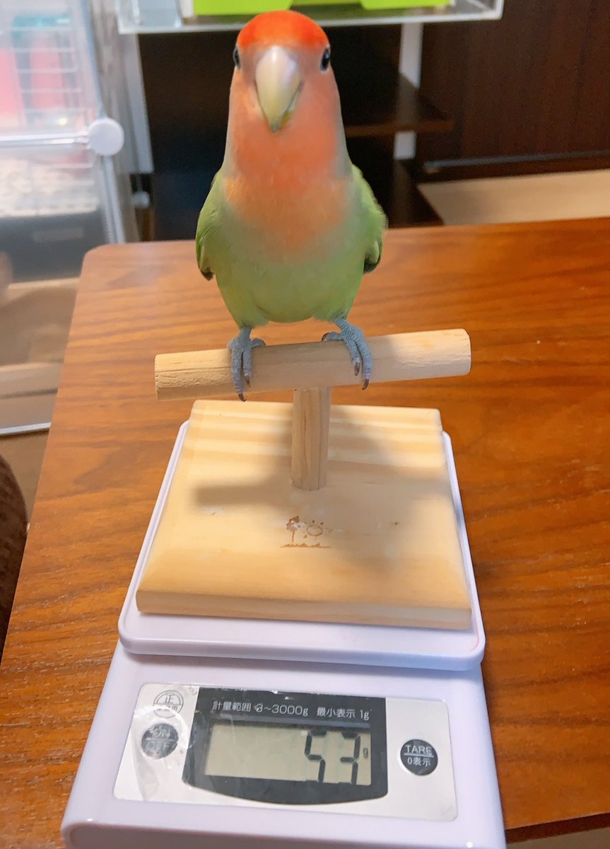 大阪で施術する人筋トレ酒好き🐣かやの✖️ゆいぴ tweet media