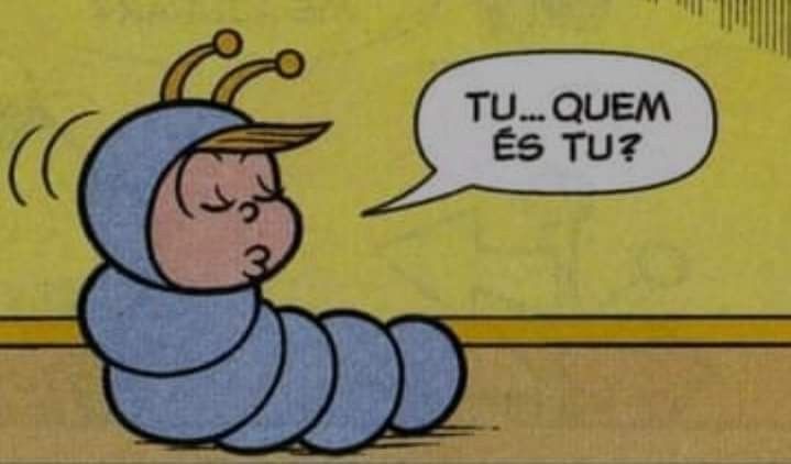 Kunito🌱 tweet media