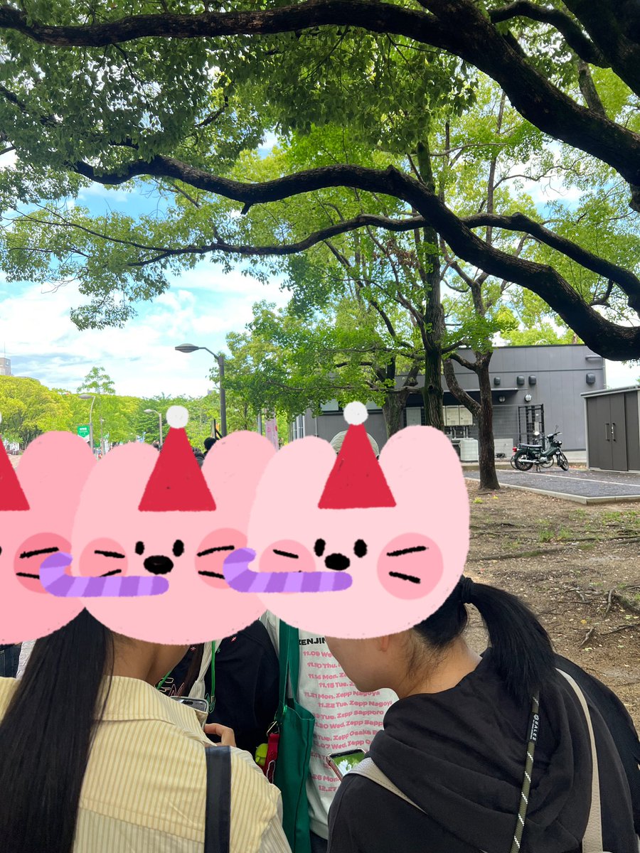 母まる🎲🐤💎🐇🍣🤪🦁 tweet media