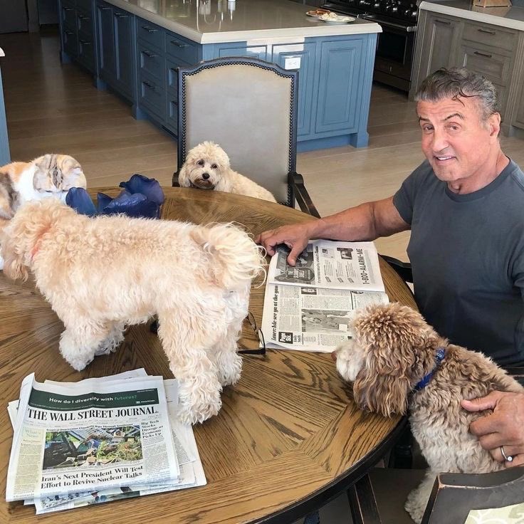 Sylvester Stallone (@SylvesterSms0w) / Posts / X