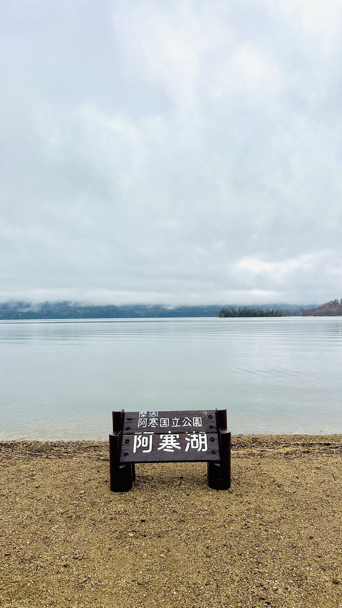夏猫 tweet media