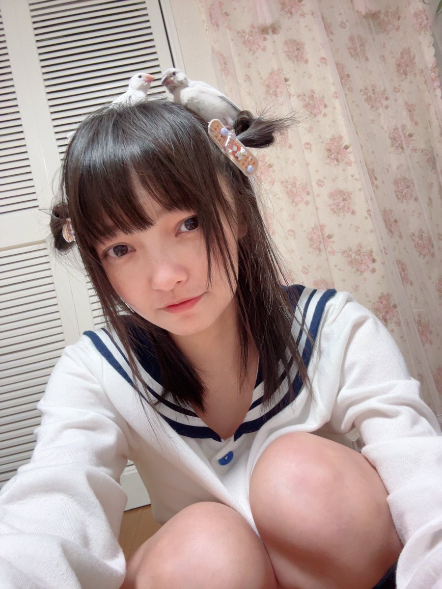 松山あおい tweet media