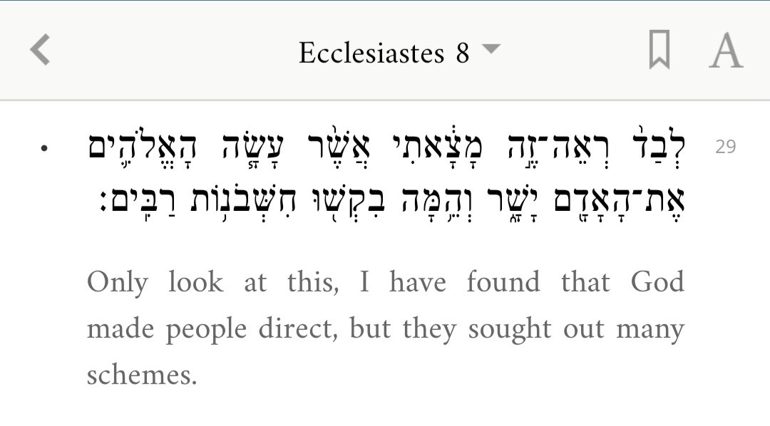 Noam tweet media