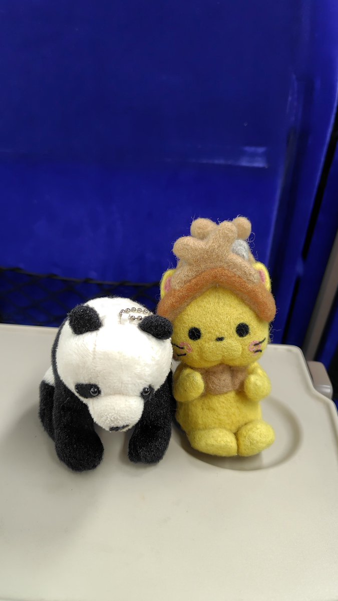 ばんちっこ＆シャオのゴールデンウィーク最終日。
ふたりは揺られてどこへ行く～
