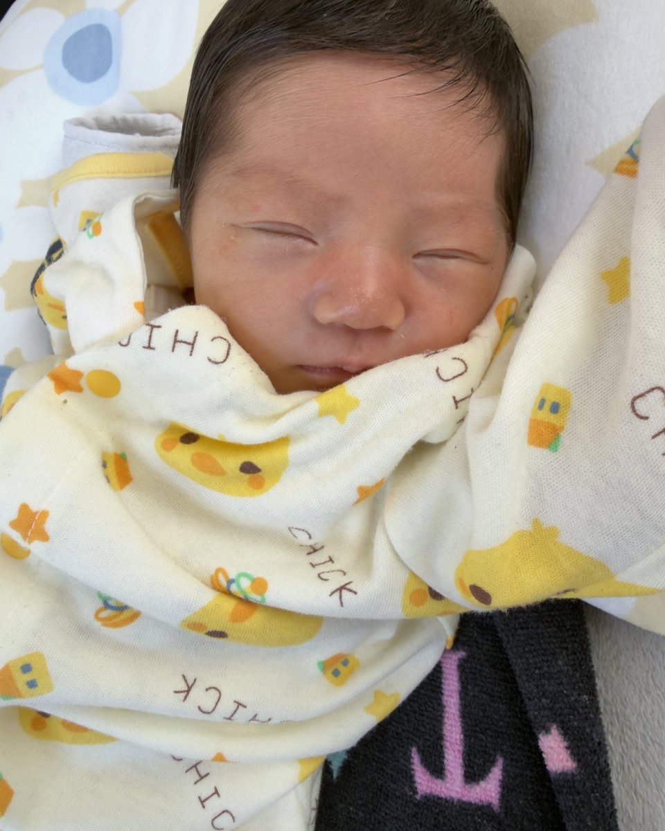 basbasbas0131's tweet photo. 伯母さんになりまして🥺🍀
弟夫婦のところに元気な女の子が生まれてきてくれました👶💞
地元戻って10日間一緒に過ごして、たった数日で肌の質や顔も変わっていくし、おむつやミルクもやらせてもらって🍼とても神秘的👼🌟見てるだけで時間があっという間に流れてしまう😭幸せな10日間でした😭 https://t.co/K5rYefc9rp