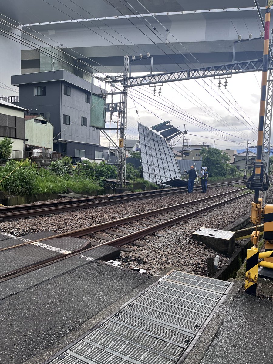 タツサン tweet media