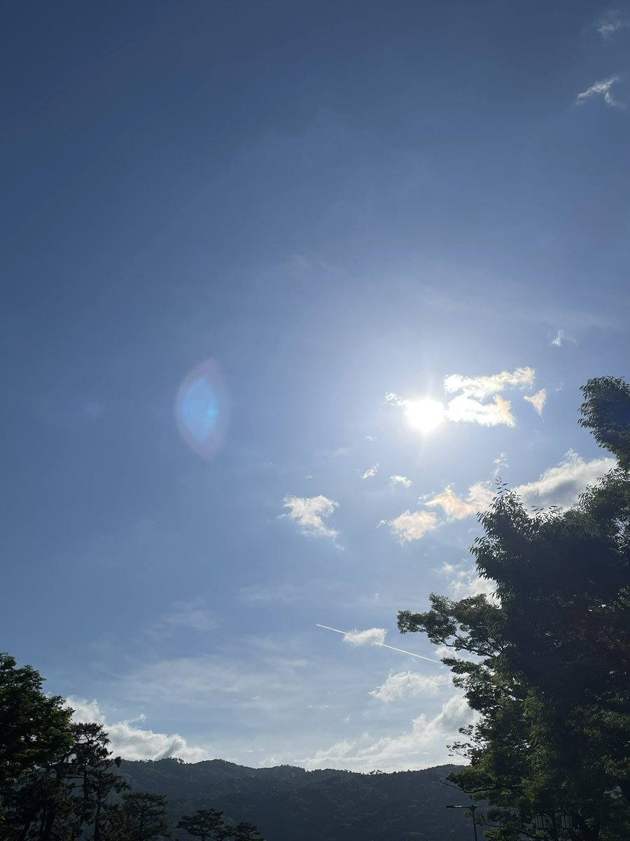 melonbo3's tweet photo. 良い天気で気持ちいい朝☀️ https://t.co/pUH70ezvW2