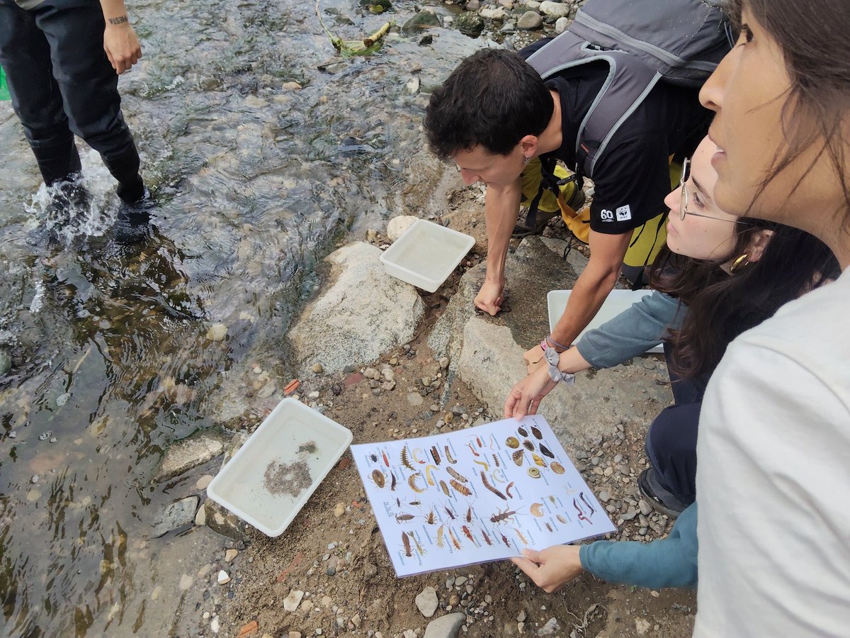 wwfbarcelona's tweet image. 💧 ¿Sabes cómo saber si un río está sano?
El 2 de mayo lo descubrimos en el río Besòs 🌱 Analizando macroinvertebrados, vimos que mejora, pero su estado ecológico sigue siendo moderado.
Cuidar los ríos es cuidar nuestro futuro 💚
#RiuBesòs #MedioAmbiente 
#Voluntariado