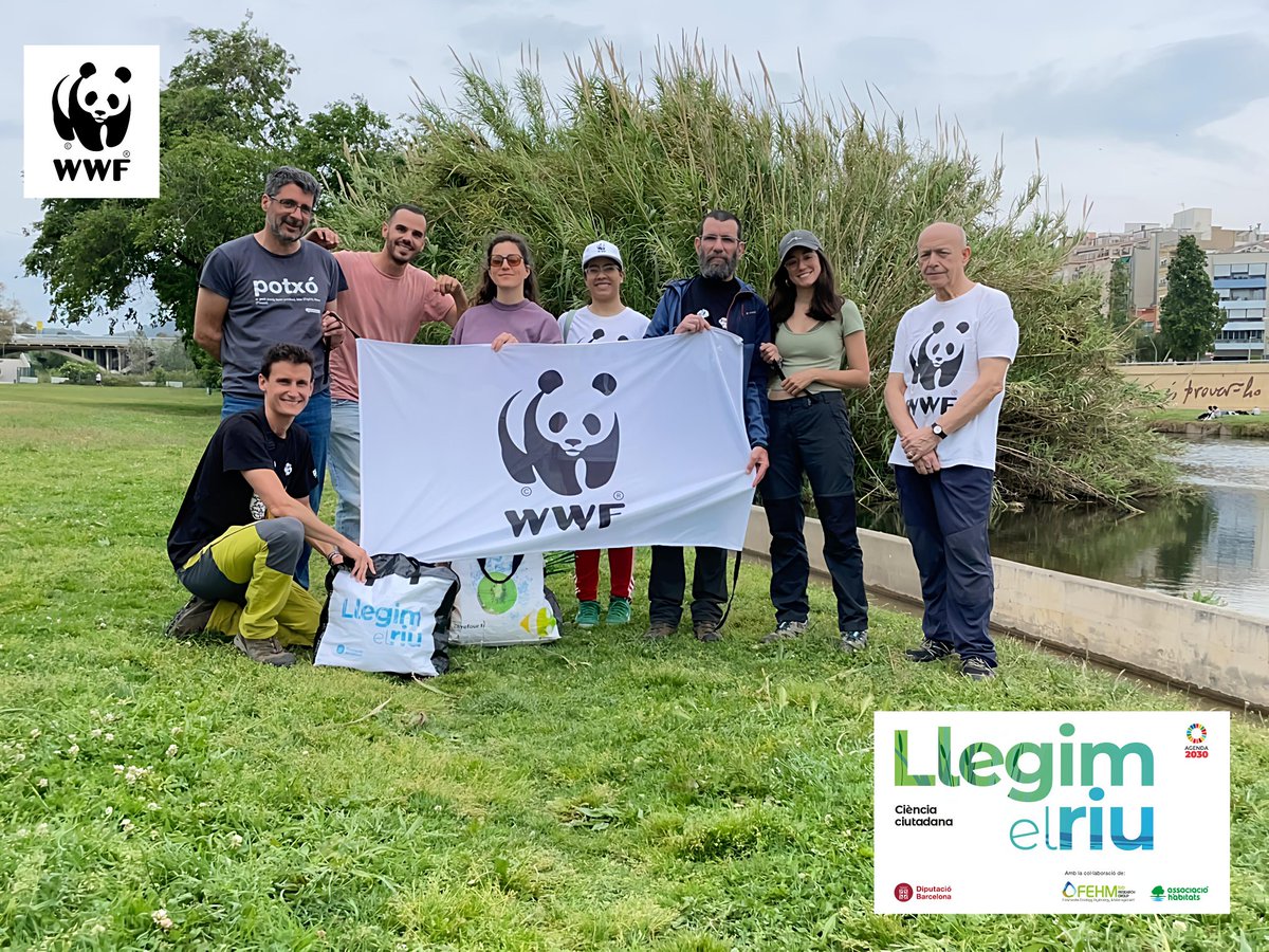wwfbarcelona's tweet image. 💧 ¿Sabes cómo saber si un río está sano?
El 2 de mayo lo descubrimos en el río Besòs 🌱 Analizando macroinvertebrados, vimos que mejora, pero su estado ecológico sigue siendo moderado.
Cuidar los ríos es cuidar nuestro futuro 💚
#RiuBesòs #MedioAmbiente 
#Voluntariado