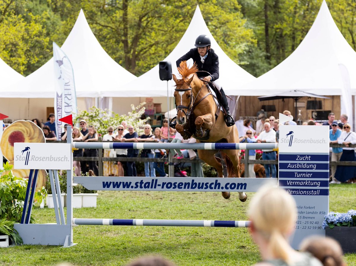Horseweb.de tweet media